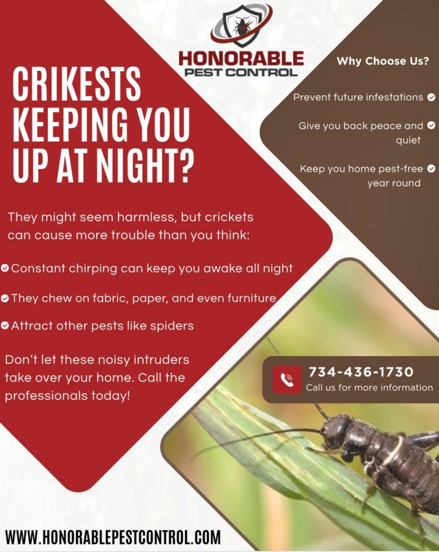 Cricket Control